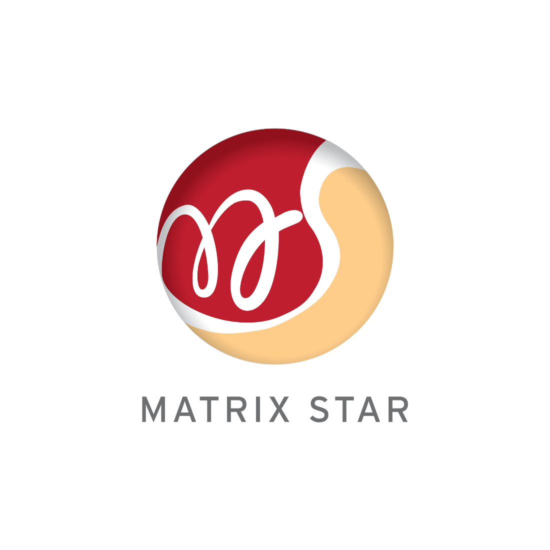 Matrix Star Marketing Pte Ltd